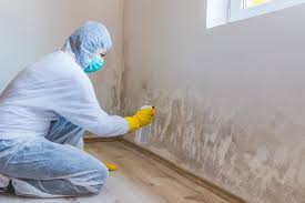 Best Mold Odor Removal Services  in USA